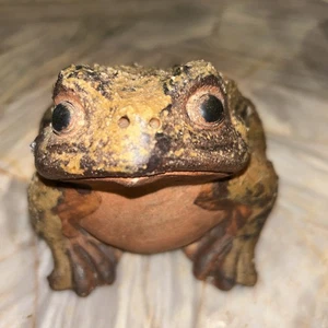 Shigaraki Clay Frog/ Toad Rustic Japanese - Picture 1 of 7