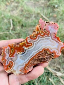 Agate Botswana Tranche 122g 9,3cm FMG Minéraux - Picture 1 of 2