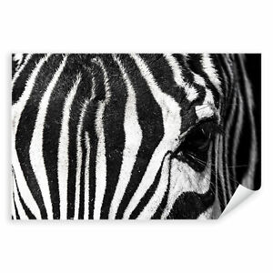 Postereck 3921 Poster Leinwand Zebra, Tier Streifen Schwarz Weiss Natur