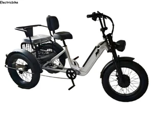 20" Electric Tricycle 48V 12Ah Cargo/Utility/Manned E-Trike 140kg load Seniors - Picture 1 of 15