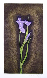 JACQUES J. J. RIGAL Signed 1967 Original Color Etching - "Iris Germanica" - Picture 1 of 4