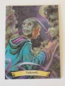Harry Potter Chocolate Frog Card - Voldemort