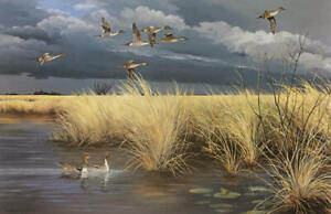 Maynard Reece - Dark Sky - Pintails - Signed Limited Lithograph - MINT