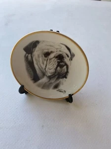 Bulldog Porcelain Plate  by Rosalinde.  Signed by Vladimir ‘94 - Picture 1 of 6