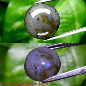 20,31ct 16,5mm Runder Cabochon Natur Regenbogen mit Glanz Labradorit Edelstein - Bild 1 von 6