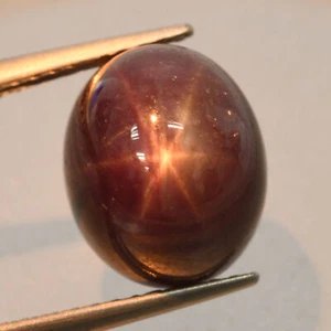 7.05 Cts 6 Rays Red Star Ruby Cabochon 100% Natural Gemstone Africa - Picture 1 of 3