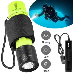 Linterna de buceo impermeable bajo el agua 80 pies buceo snorkel luz flash - Imagen 1 de 14