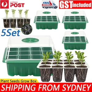 5 Set 12 Hole Plant Seeds Grow Box Propagation Nursery Seedling Starter Tray AU - Picture 1 of 8