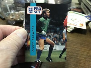 90/91 PROSET # 252 PERRY DIGWEED BRIGHTON & HOVE ALBION