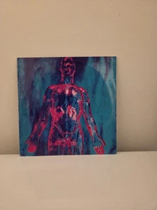 NIRVANA - SLIVER 7" INCH VINYL RECORD SP73 BLACK PRESSING 45 RPM - Picture 1 of 9