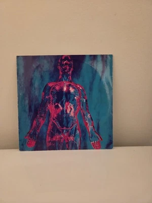 NIRVANA - SLIVER 7" INCH VINYL RECORD SP73 BLACK PRESSING 45 RPM  - Image 1 of 4