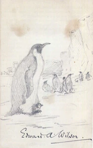 EDWARD WILSON Signed Drawing - Robert Falcon Scott Expedition 10"x6" reprint - Picture 1 of 1