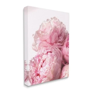 Blush Pink Peonies Florals Blooming Over White - Picture 1 of 6