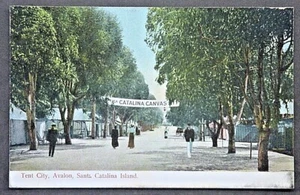 Santa Catalina Island CA View of the Tent City SHIPS FREE - Picture 1 of 2