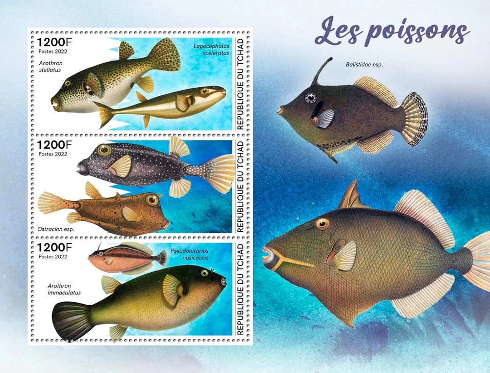 Estampillas de peces MNH 2022 Chad M/S Foto 1 de 1