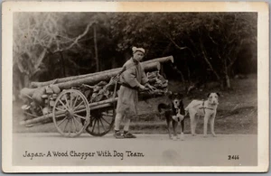 Carte postale RPPC vers 1920 Japon Un hachoir à bois avec équipe canine - Photo 1/2