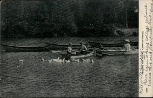 Westfield,MA Hampden Ponds Feeding The Ducks 1906 Massachusetts Postcard - Picture 1 of 2