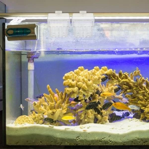 Cestas hidropónicas transparentes montadas en la pared para pecera 8 piezas - Imagen 1 de 16