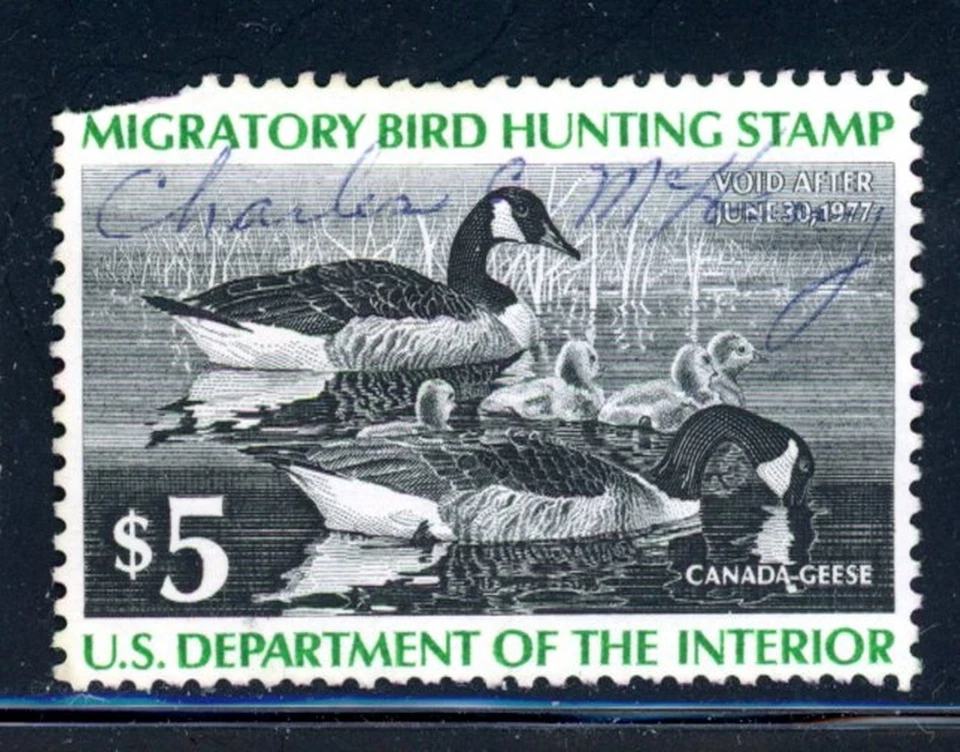 US Duck Scott # RW43 - Used - Signed - Space Filler                (22-C229) - Image 1 of 1