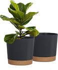 Plant Pots For Indoor Plants, 2 Pack 8 Inch Plastic Flower Pot Planters With Dra