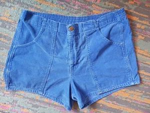 Pantaloncini vintage Fast Breakers in velluto a coste Med-Large OP skateboard blu dogtown surf anni 70 - Foto 1 di 5