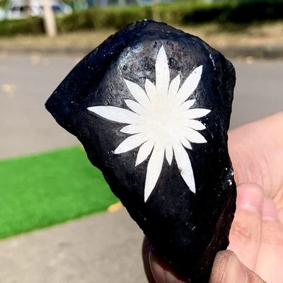 302G Natural Chrysanthemum Stone Quartz Carving Halo Treatment Gift - Image 1 of 4