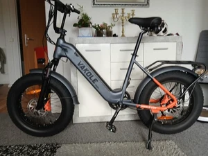 Vakole SG20 750W E-Mountainbike 20 Zoll Fatbike E Bike 48V 15.6Ah Elektrofahrrad - Bild 1 von 6