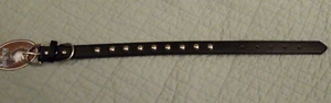 NWT Large 14-18 Inch Hip Doggie Black Silver Stud Collar - Picture 1 of 6