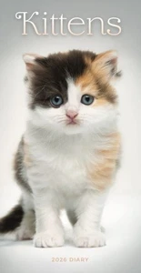 Kittens 2026 Slim Diary Official - Bild 1 von 1