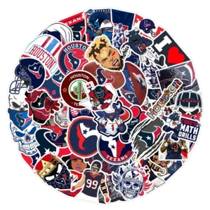 24 Houston Texans NFL Vinyl Sticker Doodle Decal - Fun SWAG - US Seller - Picture 1 of 6