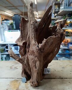 Large Mangrove 39-48cm Root Bogwood Driftwood ideal for aquariums & vivariums