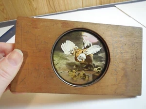 S5 HISTORIC Magic Lantern GLASS Slide T.H Mcallister Eagle & Chics Color Optical - Picture 1 of 5