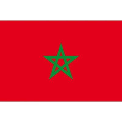 Drapeau Maroc Grand 90X150cm Marocain Coupe Du Monde العلم المغربي National Foot • 21.07€