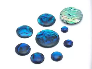 Paua Abolone Muschel Rund Edelstein Flachboden Cabochons 8 10 12 14 16 18 20 25 mm - Bild 1 von 3