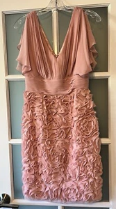 New JS Collections Flower Soutache Chiffon Empire Waist Dress blush sz 4 - Picture 1 of 15