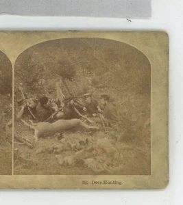 Hirsch Jagdgruppen Kilburn Stereoansicht - Bild 1 von 2