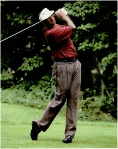 Vijay Singh PGA Golf 8x10 Photo - Picture 1 of 1