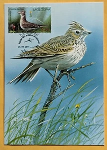 Maximumkarte. Fauna/ Vögel/Eurasische Feldlerche (Alauda arvensis). Moldawien - Bild 1 von 2