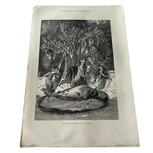 The Illustrated London News Christmas Engraving Poor Robin And The Fairies 1875 - Picture 1 of 11