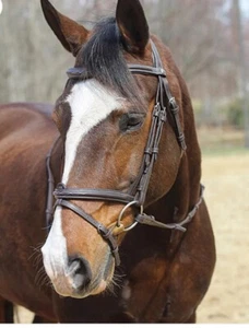 HENRI DE RIVEL KUSHY BRIDLE WITH DETACHABLE FLASH COB NEW - Picture 1 of 10