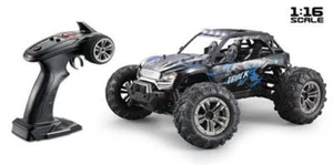 ABSIMA 1:16 Green Power Elektro Modellauto High Speed Sand Buggy "X TRUCK" schwa - Bild 1 von 5