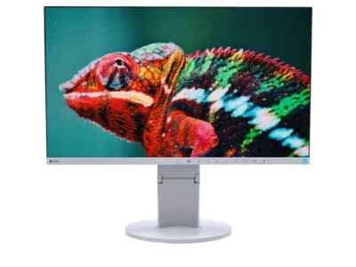 EIZO FlexScan EV2450 24" IPS 1920x1080 LED HDMI Grau Monitor sehr gut - Bild 1 von 4