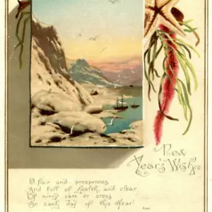 Tarjeta comercial de felicitación de deseo de año nuevo c1880s costa brillo Wirth Owen C23 - Imagen 1 de 3