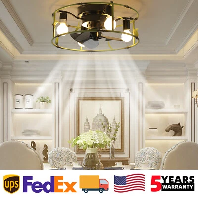 19 inch Ceiling Fan Light Farmhouse Caged Green Flush Mount w Remote Control Kit - Image 1 of 4