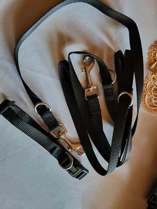 Hundeleine und Halsband Set, Hundehalsband, - Bild 1 von 1