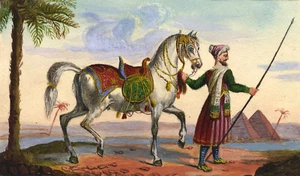 Arabian Horse in front of the Pyramids – Miniature c.1830 gouache painting - Picture 1 of 3