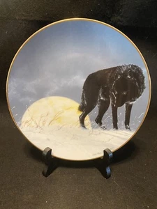 Mitternacht Renegade Wolfsplatte Arktische Majestät Lot X242 - Bild 1 von 2