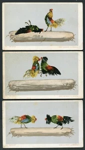 COCK FIGHTING ~ 3 PCS, 'START" "THE FIGHT" "FINISH", Pub by DETROIT ~ 1904-06 - Picture 1 of 2