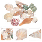  Zubehör Für Aquarien DIY-Material Muschel Aus Natürlicher Bastelbedarf