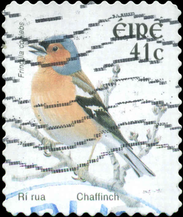 Ireland Scott #1433 Used - Image 1 of 1